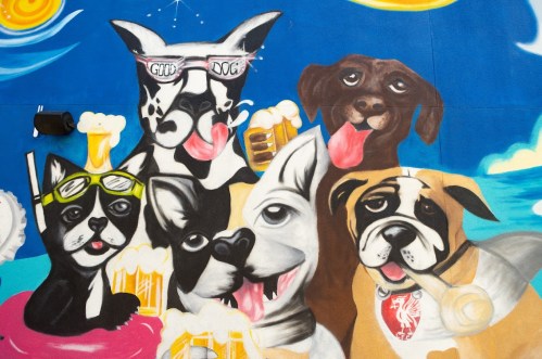 Colorful mural featuring playful dogs with sunglasses and beer, enjoying a fun, vibrant atmosphere.