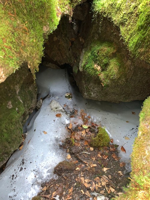 A rocky crevice filled with a layer of ice and scattered leaves, surrounded by green moss.