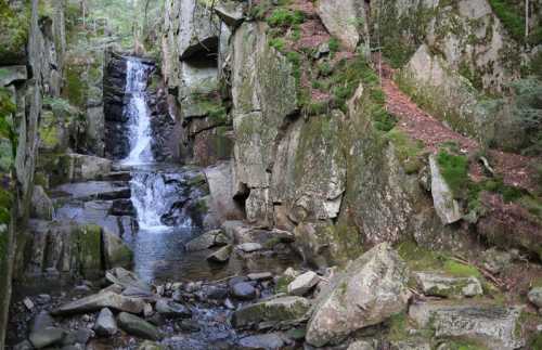 A serene waterfall cascades over rocks in a lush, green forest, surrounded by moss-covered boulders.