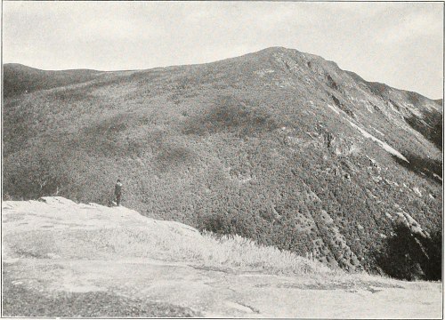 A lone figure stands on a rocky outcrop, overlooking a vast, forested mountain landscape under a cloudy sky.