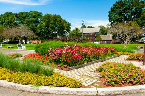 A vibrant garden with colorful flowers and greenery, surrounded by benches and trees under a clear blue sky.