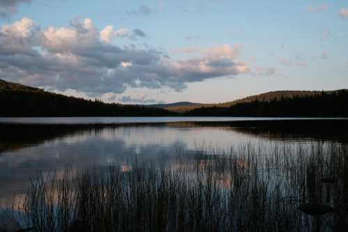 A serene lake surrounded by trees and mountains, reflecting clouds and grass in calm waters during sunset.