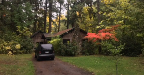 A cozy cabin surrounded by lush trees and colorful foliage, with a car parked in the driveway.