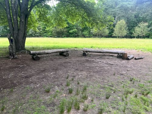 Two log benches are placed on a grassy area under a tree, surrounded by a field and forested background.