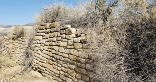 A weathered stone wall partially covered by dry vegetation against a clear blue sky.