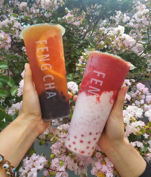 Two colorful bubble tea drinks held in hands, surrounded by blooming flowers. One is orange with black tapioca, the other pink and white.