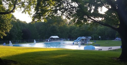 A serene outdoor swimming pool surrounded by trees, featuring a slide and lounge chairs under a clear sky.