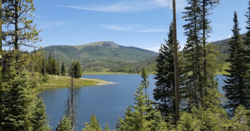 A serene lake surrounded by lush green trees and mountains under a clear blue sky.
