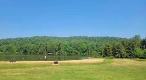 A serene lake surrounded by lush green trees under a clear blue sky, with a grassy area in the foreground.