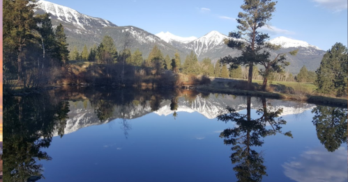 A serene landscape featuring a calm pond reflecting snow-capped mountains and trees under a clear blue sky.