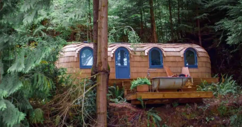 A unique wooden cabin with arched windows, nestled in a forest, surrounded by greenery and a wooden deck.