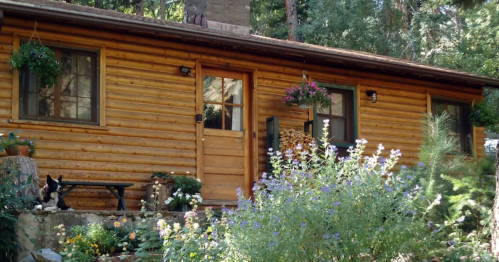 A cozy log cabin surrounded by greenery and flowers, with a wooden door and a stack of firewood visible.