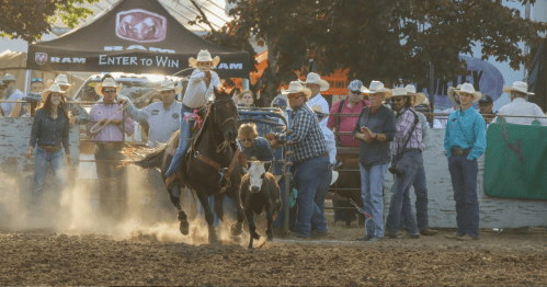 A rodeo scene with a rider on a horse chasing a calf, surrounded by spectators in cowboy hats. Dust is flying.