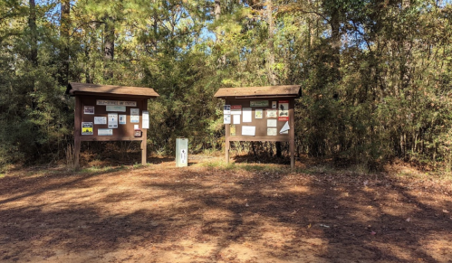 Two bulletin boards in a wooded area, displaying various signs and information, with a dirt path in front.