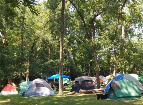 A campsite with various colorful tents set among tall trees and greenery on a sunny day.