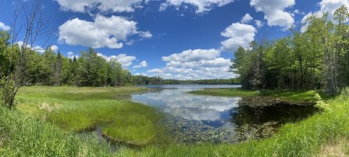 A serene lake surrounded by lush greenery and trees, with fluffy clouds reflecting in the water under a bright blue sky.