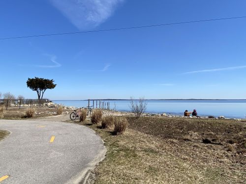 A serene lakeside view with a bike path, trees, and two people sitting by the water on a clear day.