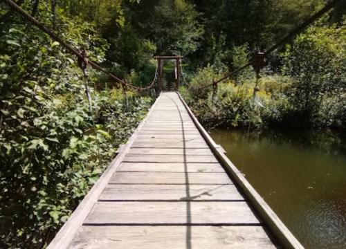 A wooden suspension bridge stretches over a calm pond, surrounded by lush greenery and trees.