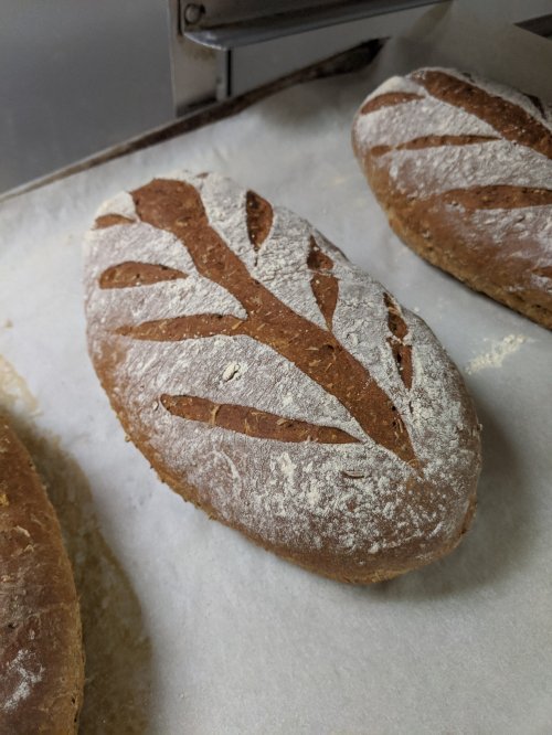 Freshly baked bread loaves with decorative flour patterns on a parchment-lined surface.