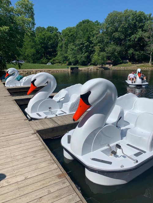 Four swan-shaped paddle boats are docked by a wooden pier on a sunny day, surrounded by lush green trees.