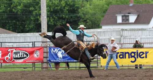 A cowboy performs a rodeo ride on a bucking horse, with spectators and banners in the background.