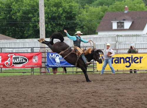A cowboy rides a bucking horse at a rodeo, with spectators and banners in the background.