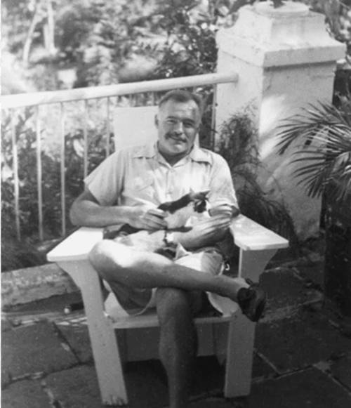 A man sitting in a chair outdoors, holding a cat, surrounded by greenery. Black and white photo.