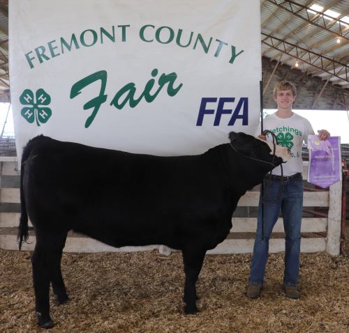 A young person stands proudly with a black cow beside a Fremont County Fair banner, holding a purple ribbon.