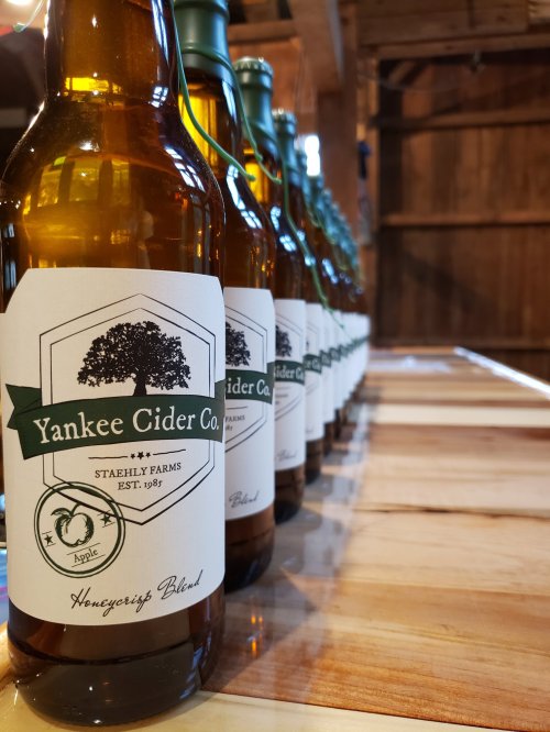 A row of bottles from Yankee Cider Co. with labels featuring an apple and the text "Honeycrisp Blend."