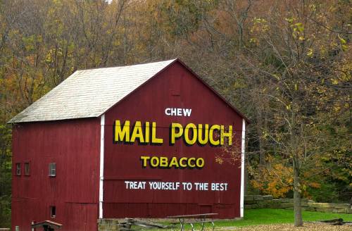 Red barn with a large yellow sign reading "Mail Pouch Tobacco" and "Treat Yourself to the Best" surrounded by trees.