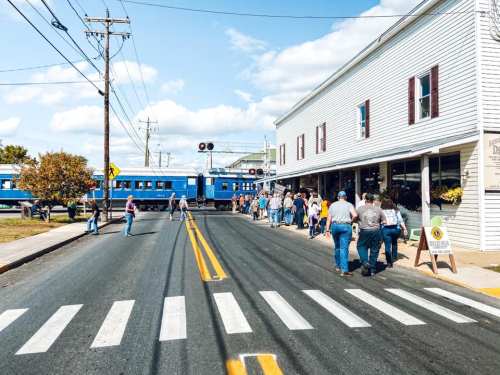 A crowd gathers on a street as a blue train passes by a building, with clear skies and power lines overhead.