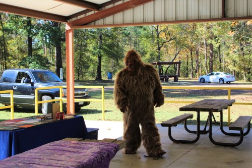 A person in a Bigfoot costume stands in a park pavilion, with picnic tables and vehicles in the background.