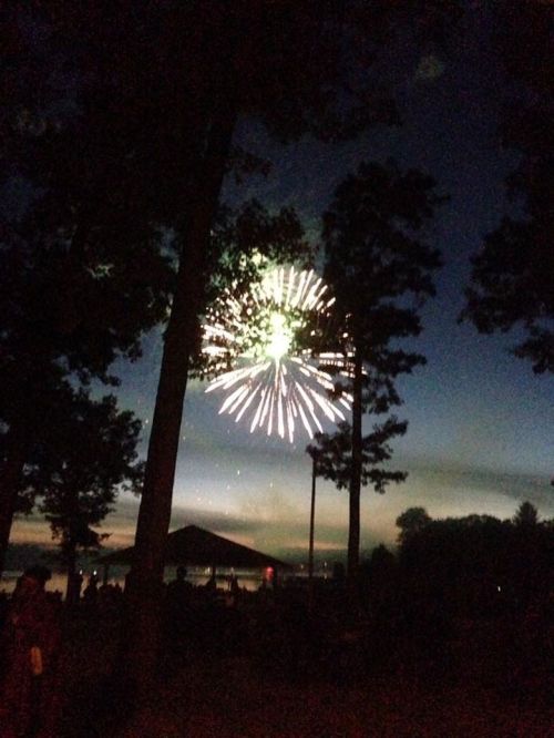 Fireworks burst in the night sky, framed by tall trees, with a lake and gathering crowd in the background.