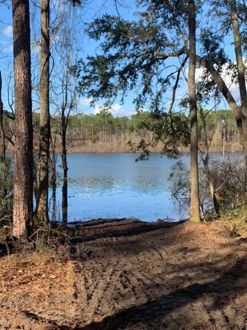 A serene lake surrounded by trees, with clear blue water reflecting the sky and a sandy path leading to the shore.