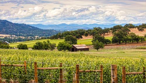 A scenic vineyard landscape with rolling hills, a rustic barn, and distant mountains under a cloudy sky.