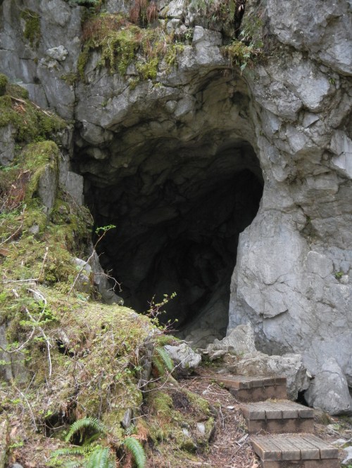 A rocky cave entrance surrounded by moss and ferns, with wooden steps leading up to it.