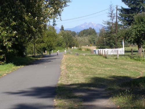 A scenic pathway lined with trees, leading to distant mountains under a clear blue sky.