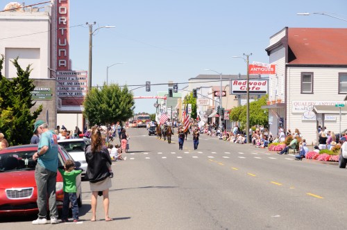A parade with flag bearers marches down a street lined with spectators and shops on a sunny day.