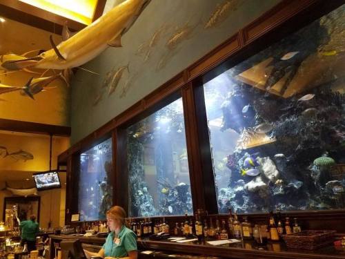 A bar area with a large aquarium featuring colorful fish and a bartender in a teal shirt.