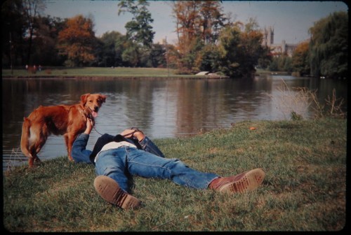A person lies on the grass by a lake, playing with a dog, surrounded by trees and a distant building.