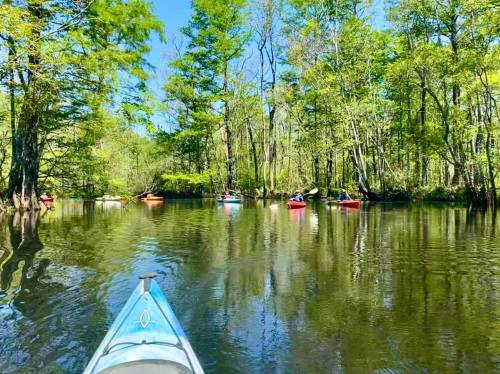 A kayak view of a serene waterway surrounded by lush trees, with colorful kayaks visible in the distance.