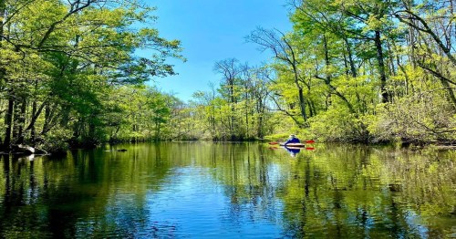 A serene river scene with lush green trees and a person kayaking on calm waters under a clear blue sky.
