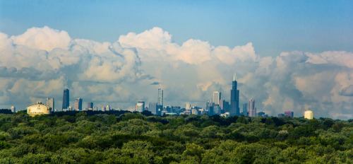A skyline view of a city with tall buildings, surrounded by lush green trees and a blue sky with fluffy clouds.
