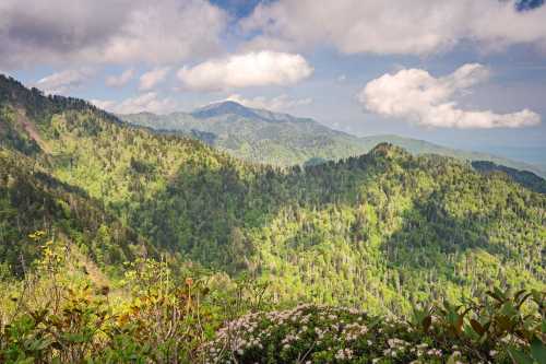 A panoramic view of lush green mountains under a partly cloudy sky, showcasing vibrant foliage and distant peaks.