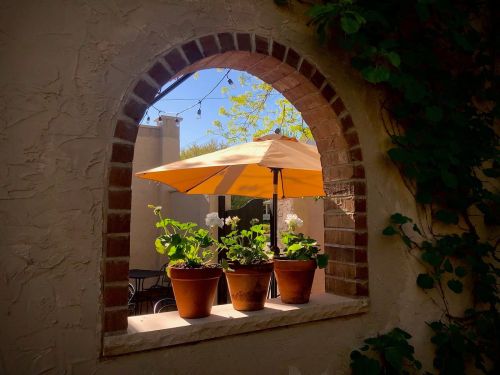 A sunny outdoor scene framed by an arch, featuring potted plants and an umbrella on a patio.