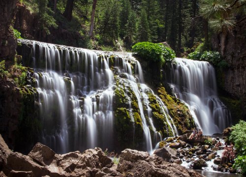 A serene waterfall cascades over moss-covered rocks, surrounded by lush greenery and a peaceful forest setting.