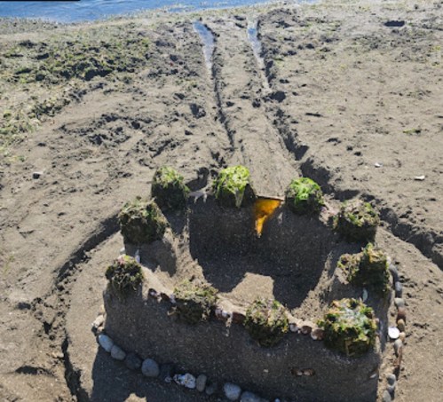A sandcastle with moss-covered towers sits on a sandy beach, near a body of water, with tracks leading away from it.