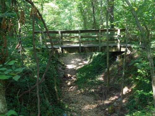 A wooden bridge spans a small, dry creek surrounded by lush green trees and foliage.