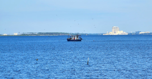 A small boat floats on a calm blue sea, with a distant city skyline and land visible on the horizon.