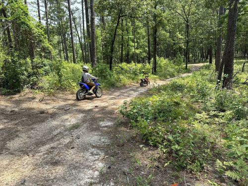 Two children riding dirt bikes on a forest trail surrounded by greenery and trees.